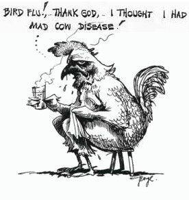 bird_flu_mad_cow